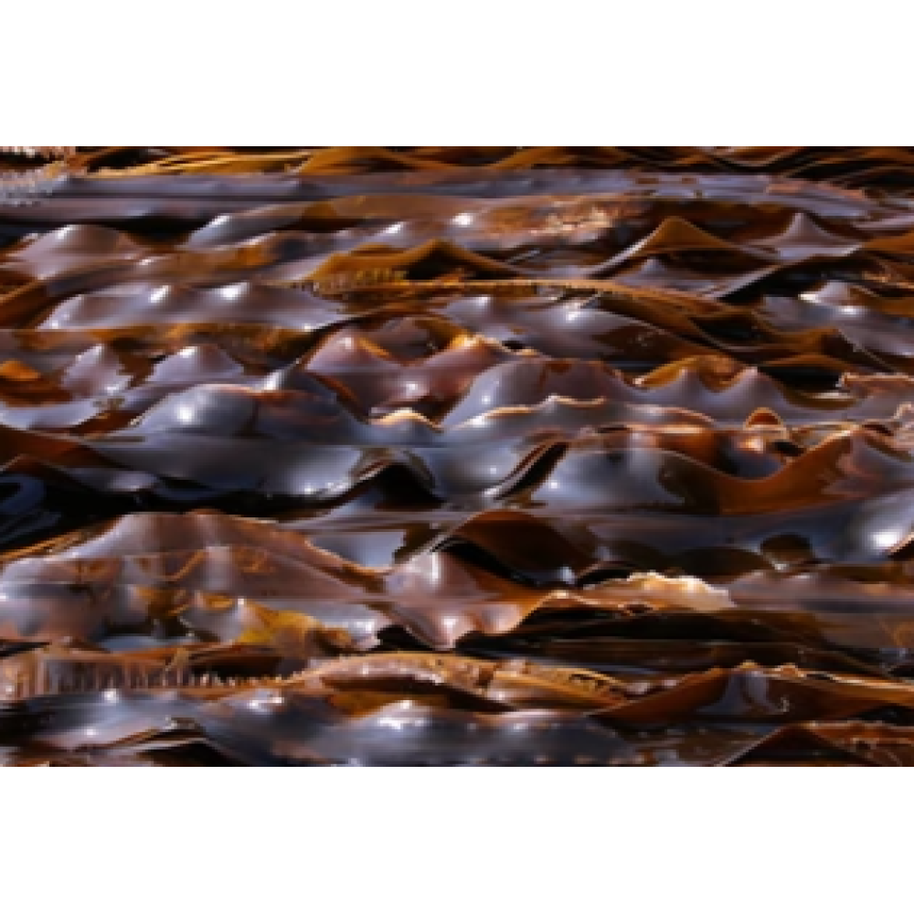 CARELIKA Exotic Body Scrub — gommage corporel exotique au pamplemousse, sel marin et huile essentielle de mandarine, 200 ml