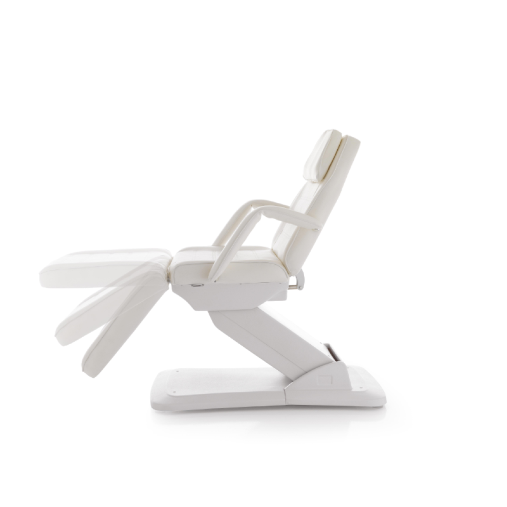 Electrique professionnelle équipée de trois moteurs TECKNO FIT (370.037)