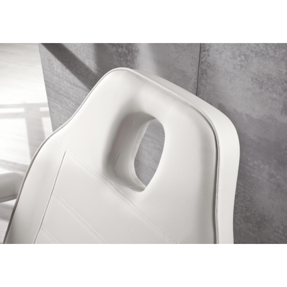 Electrique professionnelle équipée de trois moteurs TECKNO FIT (370.037)