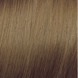 ELGON Tonalight - Coloration tonifiante professionnelle sans ammoniaque, 8 - BLOND CLAIR