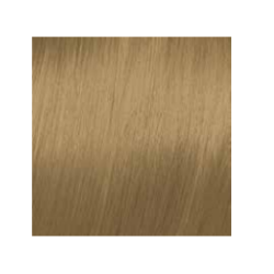 ELGON GET THE COLOR - Coloration crème pour cheveux 10/0 - BLOND PLATINE INTENSE