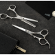 Lameo STAGE PRO SET OFFSET SILVER - Kit professionnel de ciseaux de coiffure avec étui (370.935)
