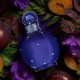 Britney Spears Midnight Fantasy, Eau de Parfum pour femme