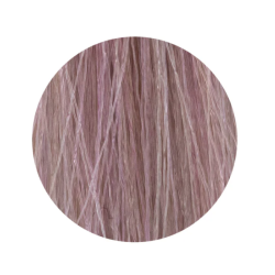 ETB Hair Permanent Color Cream - 11.21 - BLONDE ULTRA PLATINUM IRIS ASH