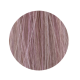 ETB Hair Permanent Color Cream - 11.21 - BLONDE ULTRA PLATINUM IRIS ASH (6426980004144)