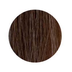 ETB Hair Permanent Color Cream - 8.37 - LIGHT BLONDE GOLD BROWN