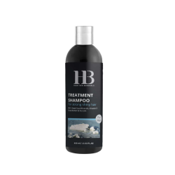 H&B Treatment Shampoo For Men — Shampoing pour hommes, 400 ml