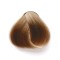 Inebrya Color n° 8/0 Light Blonde - Coloration permanente