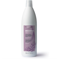 Oyster FRUIT SUBLIME Après-shampoing à l'extrait de raisin — Usage quotidien, 1000 ml