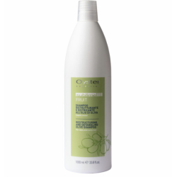 Oyster FRUIT SUBLIME – Shampooing à l'olive régénérant, 1000 ml