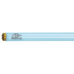 Lampe pour solarium Max Warp 800 Longlife X-Tend 0.3 160W