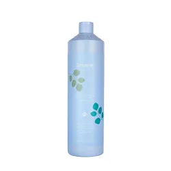 ECHOSLINE Balance+ Shampoo - Shampoing séborégulateur, 1000 ml