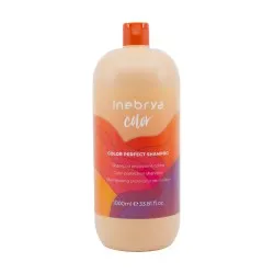 Inebrya Color Protection Shampoo — Shampooing protection de la couleur, 1000 ml