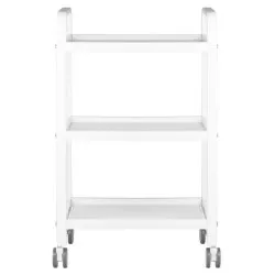 Chariot professionnel pour maître / esthéticien(ne) HS09