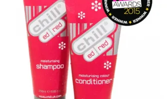 Le duo exceptionnel CHILL* remporte le Hair Awards 2015 SUPER 60 !