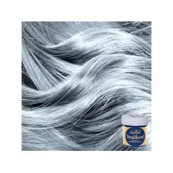 La Riche Directions Coloration tonale pour cheveux - SILVER