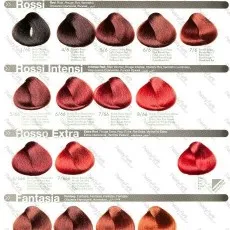 Colorations capillaires