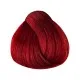 Singularity RED CORRECTOR - Coloration capillaire permanente, 100 ml