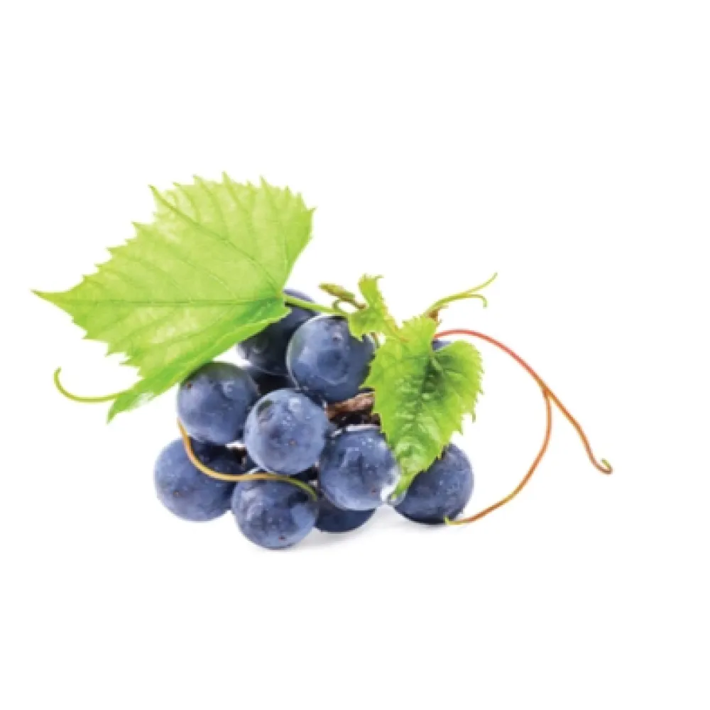 CARELIKA Gommage corporel Gold — aux paillettes dorées, extrait de caviar et glycérine végétale, 200 ml