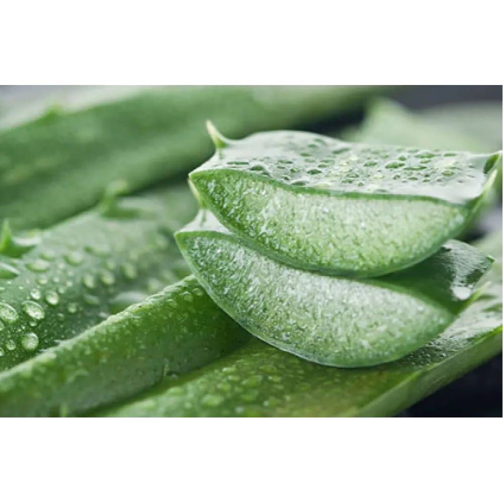 CARELIKA Beurre Corps Pistache — Hydratant et nourrissant, aux propriétés adoucissantes pour la peau, 250 ml