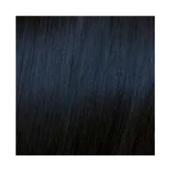 ELGON GET THE COLOR - Crème colorante pour cheveux 1/1 - Ash Black (noir cendré)