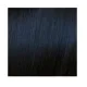 ELGON GET THE COLOR - Crème colorante pour cheveux 1/1 - Ash Black (noir cendré)