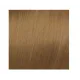 ELGON GET THE COLOR - Crème colorante pour cheveux, 8/3 Blond clair doré