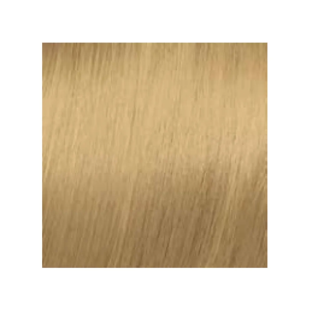 ELGON GET THE COLOR - Crème colorante pour cheveux, 9/3 - SUPER LIGHT GOLDEN BLONDE (blond doré très clair)