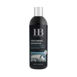 H&B Treatment Shampoo For Men — Shampoing pour hommes, 400 ml