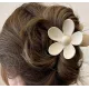 Barrette pour cheveux « ZIEDS » — teinte LATTE