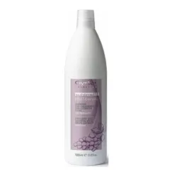 Oyster FRUIT SUBLIME Shampooing à l'extrait de raisin - Usage quotidien, 1000 ml