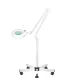 Lampe loupe LED S5 avec trépied, intensité lumineuse réglable, blanche (126684)