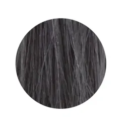 ETB Hair Permanent Color Cream - 10.11 - BLONDE PLATINUM INTENSE ASH