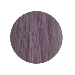 ETB Hair Permanent Color Cream - 10.2 - BLONDE PLATINUM IRIS