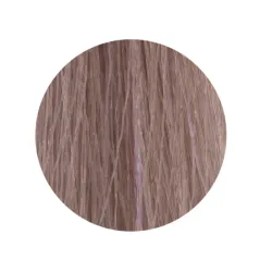 ETB Hair Permanent Color Cream - 10.21 - BLONDE PLATINUM IRIS ASH