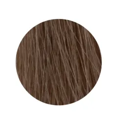 ETB Hair Permanent Color Cream - 10.9 - BLONDE PLATINUM SANDRE